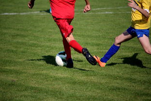 九游体育APP下载-仰泳大战美队领先毫厘之间，仰泳比赛视频欣赏